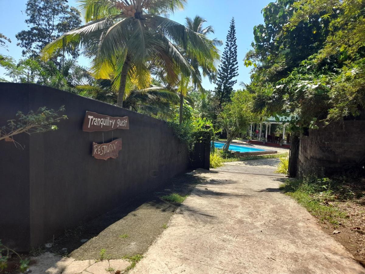Tranquility Guest House Hikkaduwa Exterior foto