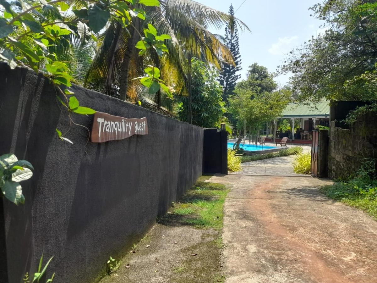Tranquility Guest House Hikkaduwa Exterior foto