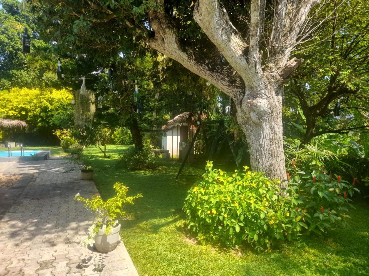 Tranquility Guest House Hikkaduwa Exterior foto