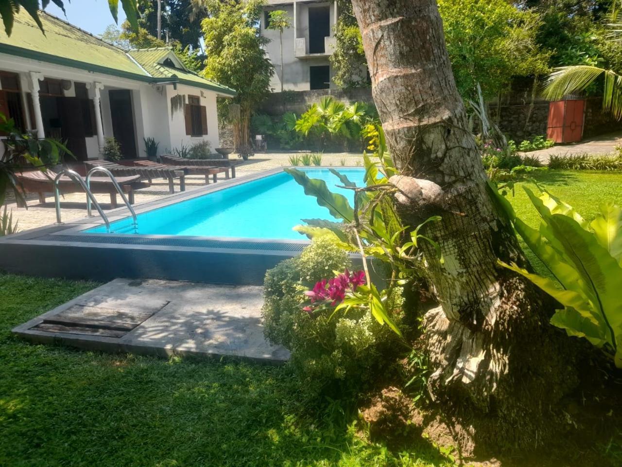 Tranquility Guest House Hikkaduwa Exterior foto